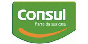 Quadsel Systems Pvt Ltd client Consul